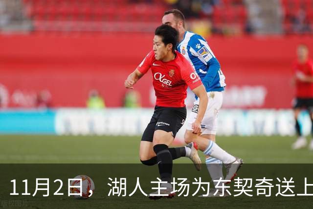 11月2日，湖人主场为东契奇送上摇头小人儿！